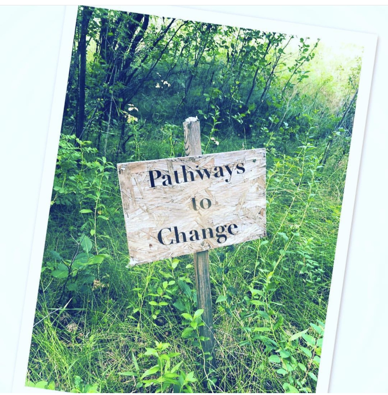 Saskatoon Pathways to Change Foundation 